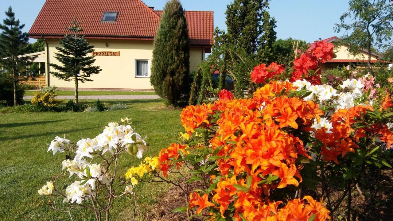 Pokoje Goscinne Przylesie Łobez Dış mekan fotoğraf